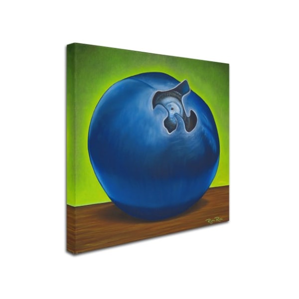 Ryan Rice Fine Art 'Blueberry Pi' Canvas Art,18x18